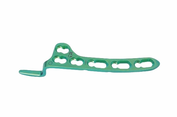 Clavical Hook Locking Plate