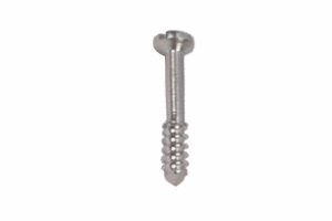 Lag Screws