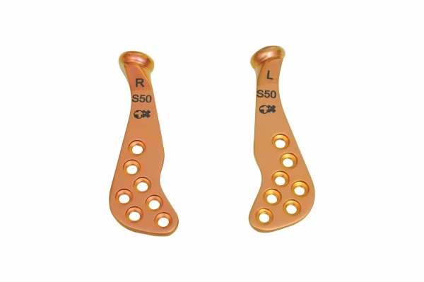 TMJ Prosthesis