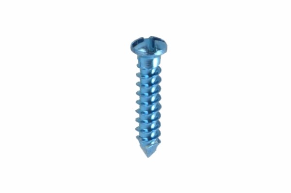 Titanium Cross Drive® Screw