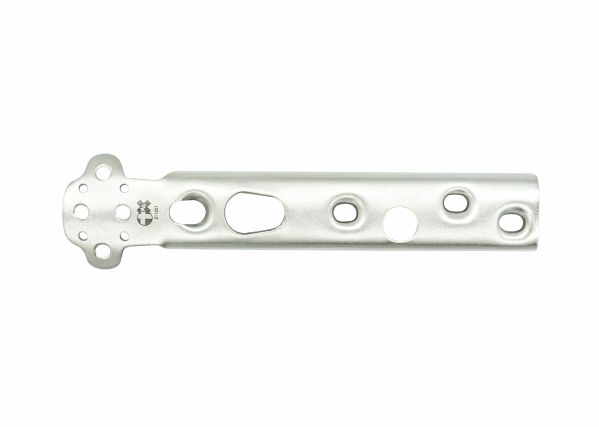 Trochanter Stabilisation Plates (TSP)