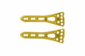 Two Column Distal Radius Lock Plates