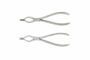 Walsham nasal Septum Forceps