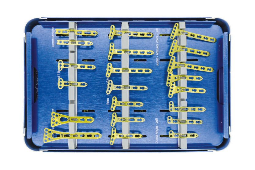 Distal Radius Locking Set - S.S. & Titanium 2