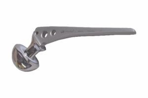 Hip Prosthesis Replacement