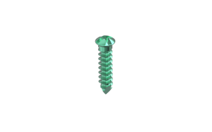 Titanium Screws Cross Drive