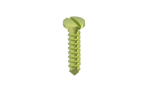 Titanium Screws Emergency Slotted 2mm CMF Mini Plating System Surgical Orthopaedic Implant