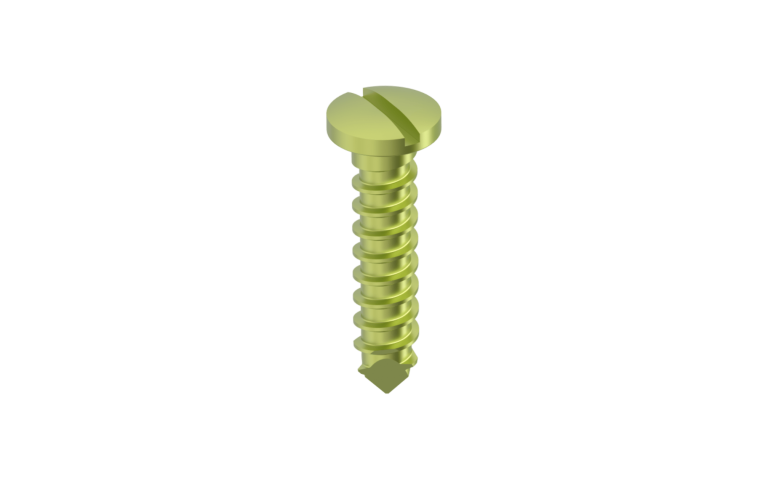 Titanium Screws Emergency Slotted