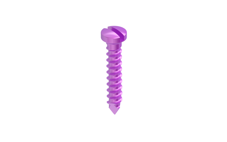 Titanium Screws Single Slotted