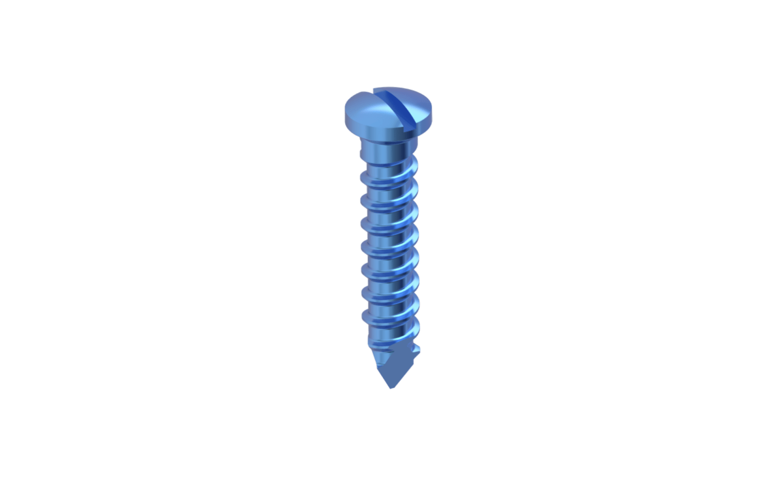Titanium Screws Slotted
