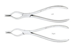 Walsham Nasal Septum Forceps