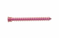 Bone Screws