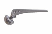 Hip Prosthesis Replacement