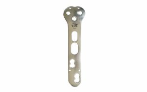 Lateral Support Locking Plate For Pfn