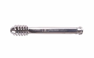 Richard's Paediatric Screw(DHS) with Top Screw