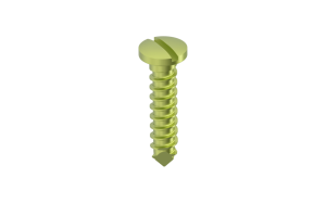 Titanium Screws Emergency Slotted 2mm CMF Mini Plating System Surgical Orthopaedic Implant