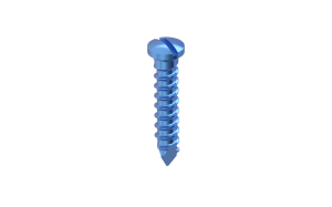 Titanium Screws Slotted 2mm CMF Mini Plating System Orthopaedic Bone Fixation Implant
