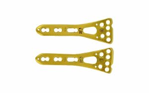 Two Column Distal Radius Lock Plates
