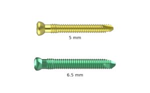 XLite T2 Interlocking Screws